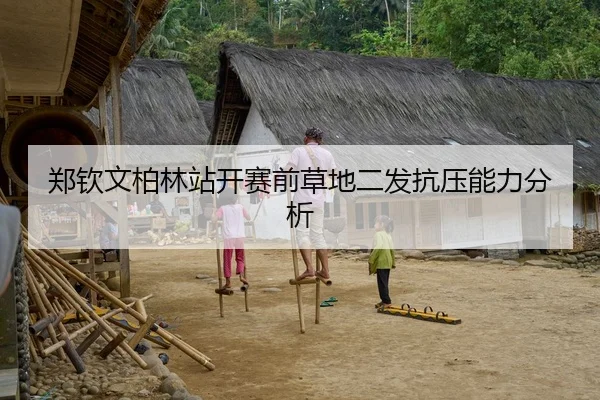 郑钦文柏林站开赛前草地二发抗压能力分析