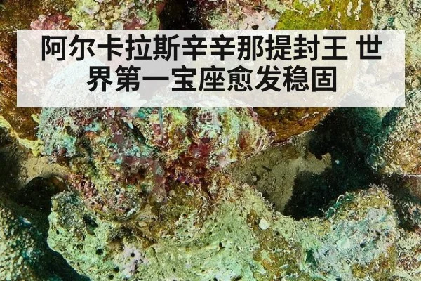 阿尔卡拉斯辛辛那提封王 世界第一宝座愈发稳固